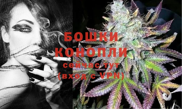 крисы Зерноград