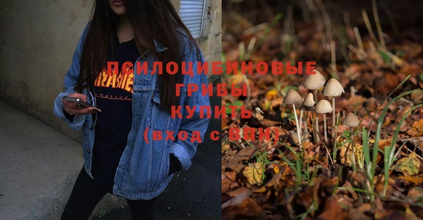 прущий лед Заволжье