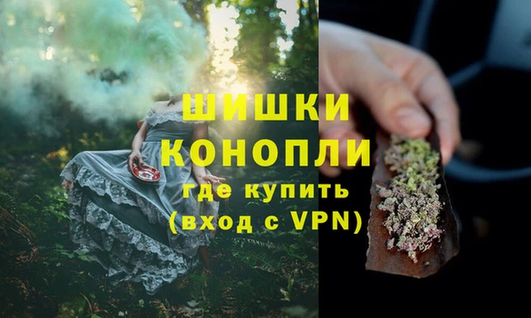 молекула духа Заводоуковск